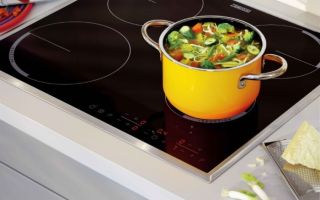 Как выбрать электрическую плиту для кухни из 4 вариантов