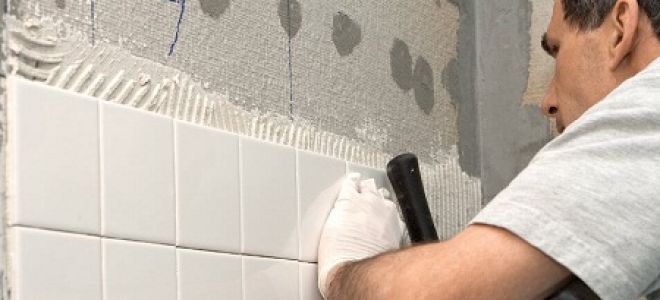 Можно ли класть плитку на гипсовую штукатурку: 4 недостатка