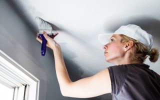 Как покрасить потолок водоэмульсионной краской по побелке: рекомендации специалистов