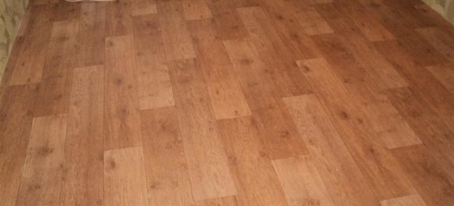 Проблемы ремонта: сколько должен отлежаться линолеум