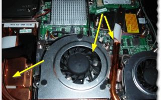 Как почистить вентилятор ноутбука от пыли: инструкция, 4 совета
