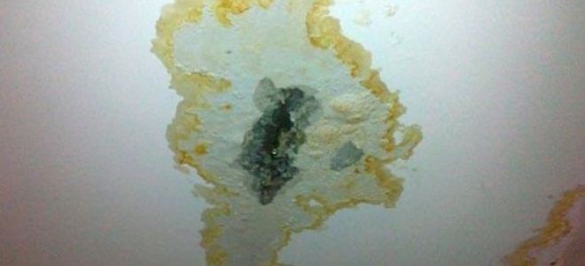 Как правильно сделать пол в ванной комнате