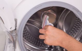 Плесень в стиральной машине: 3 простых шага, как избавиться от грибка