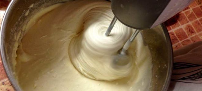 Рецепт теста для шарлотки: пошаговое описание процесса