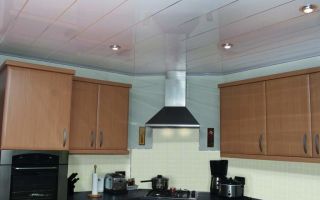 Выбираем панели на потолок на кухне: лучшие варианты