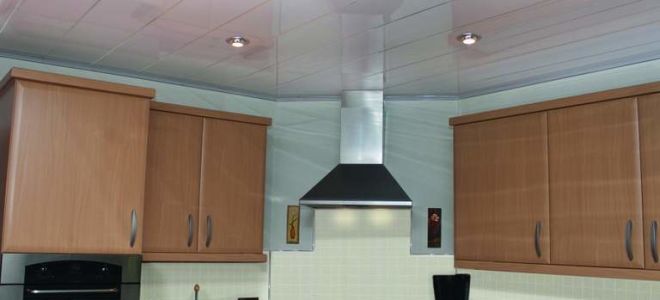 Выбираем панели на потолок на кухне: лучшие варианты