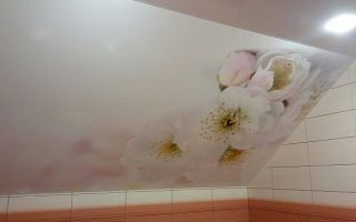 Натяжные потолки с фотопечатью в ванную: варианты и характеристики