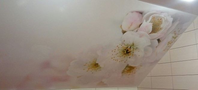 Натяжные потолки с фотопечатью в ванную: варианты и характеристики