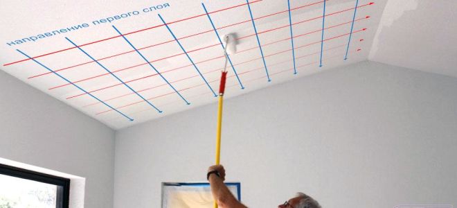 Обновляем поверхность просто: водоэмульсионная краска для стен и потолков