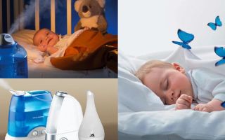 Рекомендации и 6 видов: как выбрать увлажнитель воздуха для детской комнаты