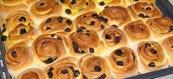 Сдобные булочки с изюмом: рецепт с фото пошагово