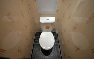 Интересная отделка туалета пластиковыми панелями: 30 фото и дизайн