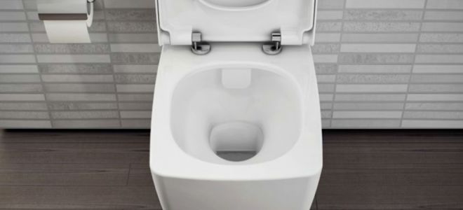 Красивый и практичный безободковый унитаз