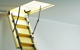 Выбор и установка чердачной лестницы fakro: 6 основных моделей производителя