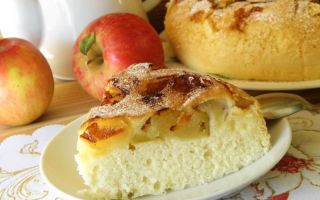 Вкусная шарлотка в мультиварке с яблоками: рецепт простой и оригинальный