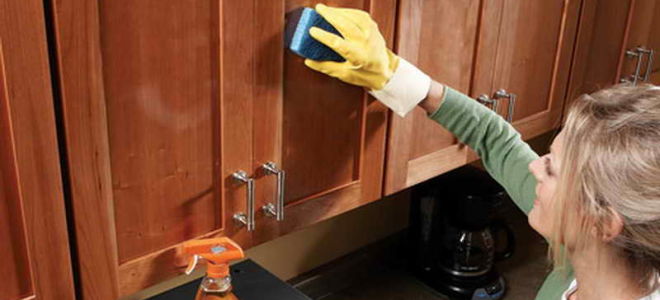 Как отмыть кухонную мебель от жира: лучшие варианты своими руками